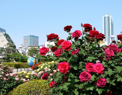 🌳 혼고 급수소 공원 (혼고큐스이죠코엔) 이미지 2